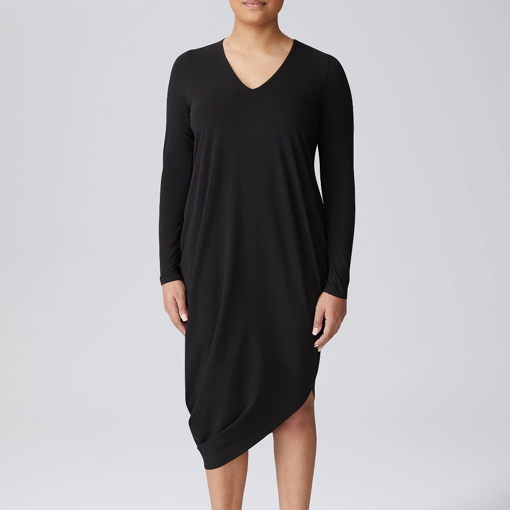 Long Sleeve V-Neck Geneva Dress  NWT